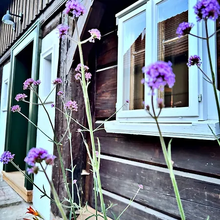 Holiday home Neu Daserbhaus *